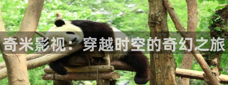 悟空短剧视频：奇米影视：穿越时空的奇幻之旅