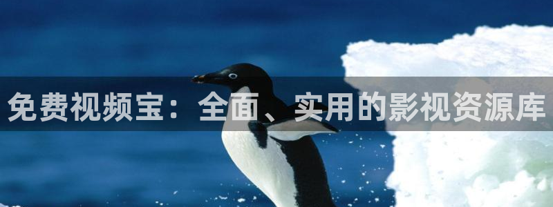 悟空神马影院在线观看