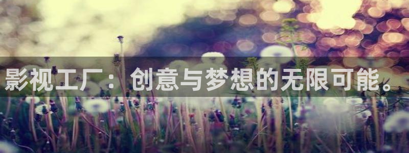 悟空影视在线观看免费观看：影视工厂：创意与梦想的无限可能。