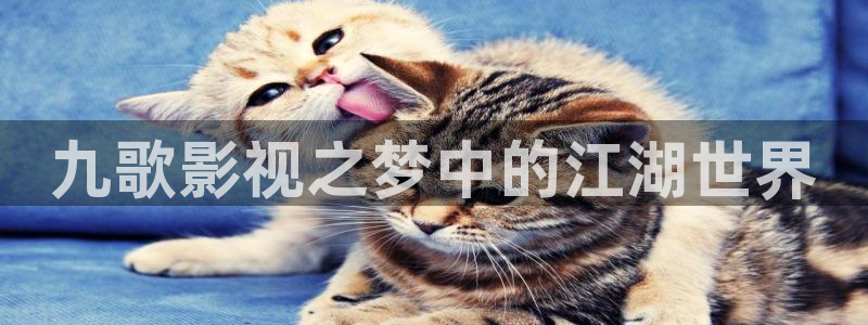 悟空电影天堂完整免费看：九歌影视之梦中的江湖世界